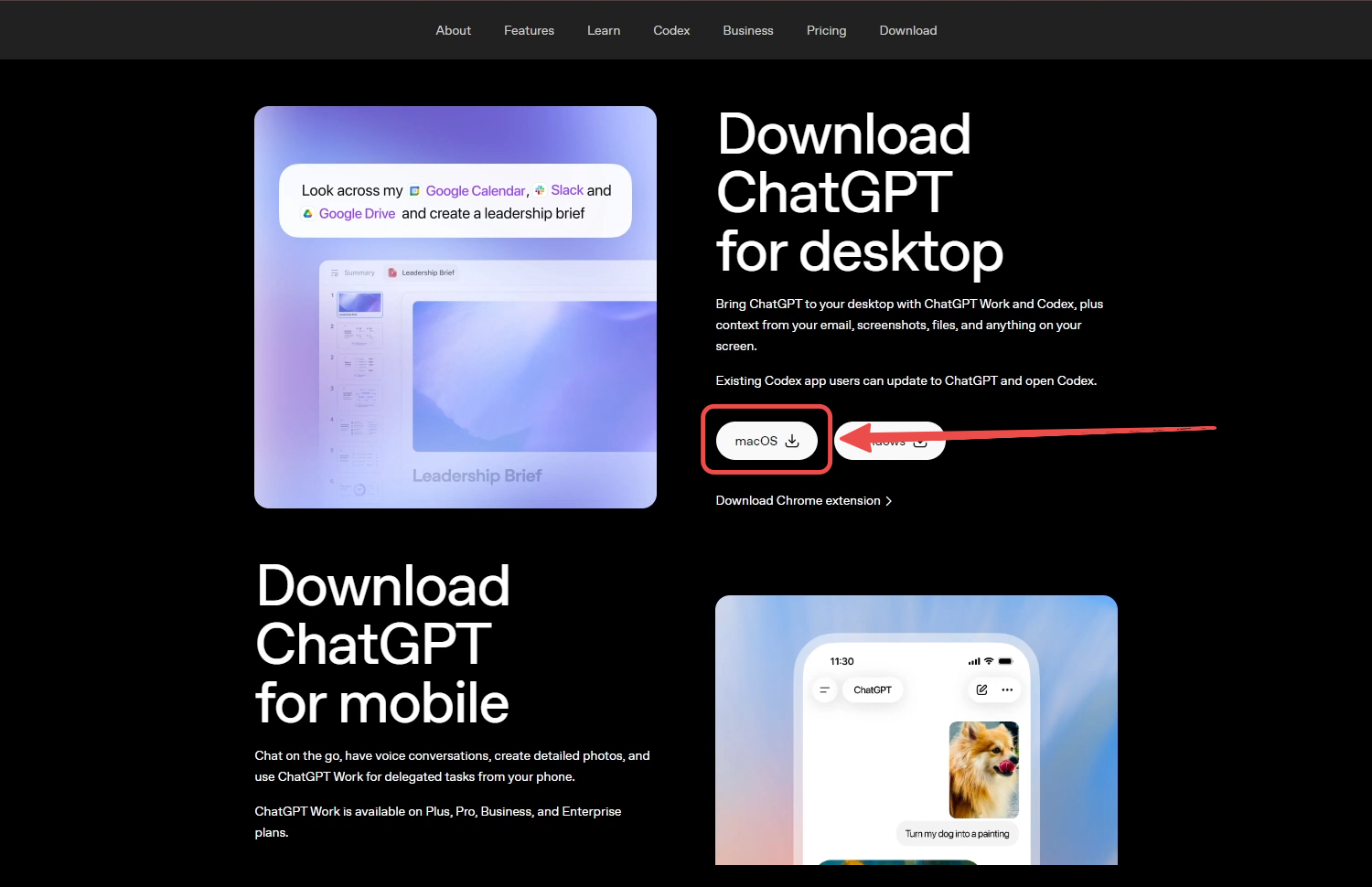 Official ChatGPT download page with Download for macOS highlighted