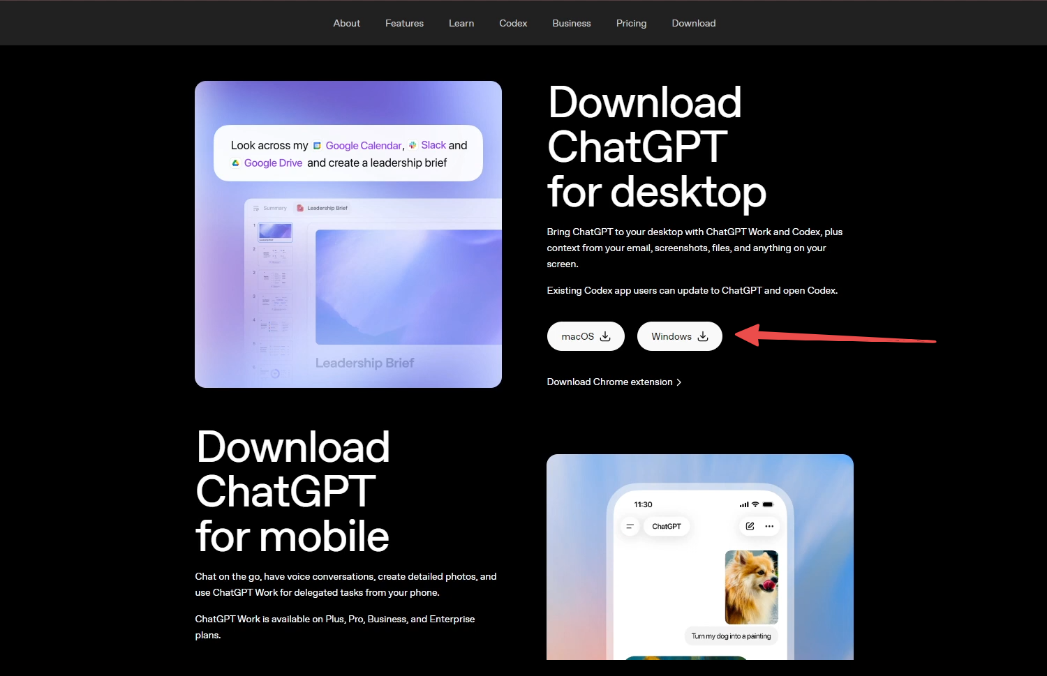 Official ChatGPT download page with Download for Windows highlighted